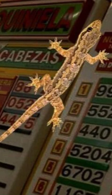 lagartija-quiniela-reptil-lagarto-sueño-suerte-número