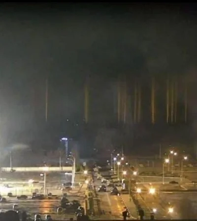 planta-central-europa-radiación