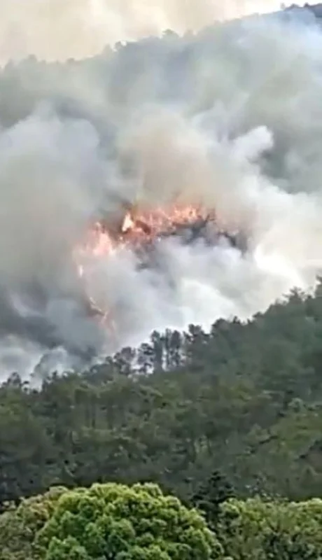avion-china-accidente-humo-muertos-png.