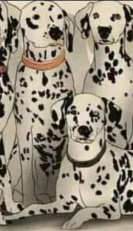 pdtxwfn2enhrff2i73xufdwwcq-jpg.