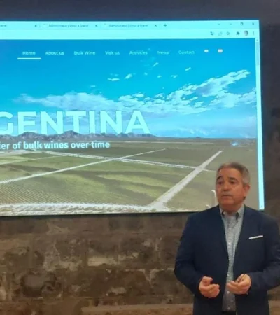 whatsapp-image-2022-03-17-at-12-23-05-pm-jpeg.