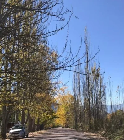 WhatsApp-Image-2021-04-26-at-07.51.45-(1)