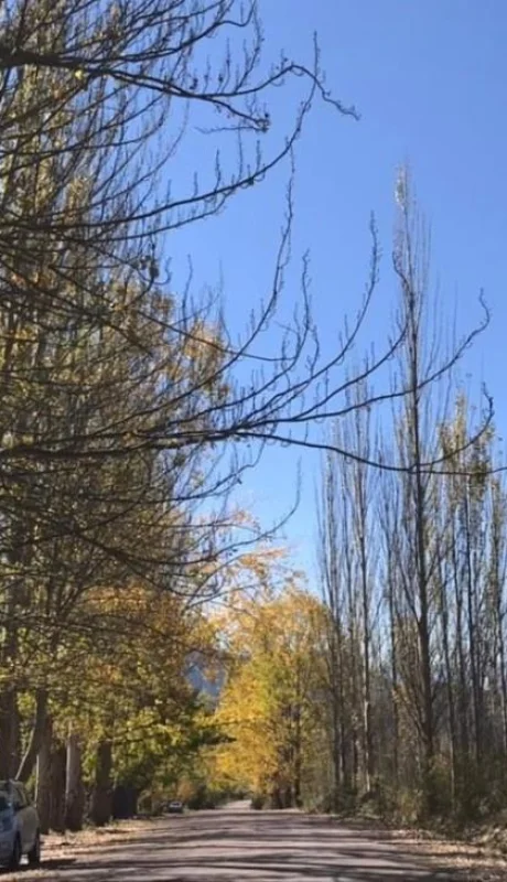 WhatsApp-Image-2021-04-26-at-07.51.45-(1)