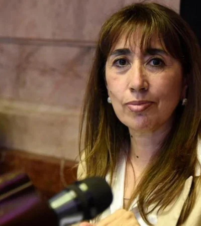 diputada-roxana-reyes