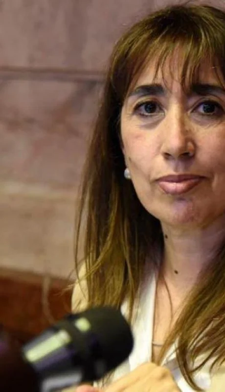 diputada-roxana-reyes