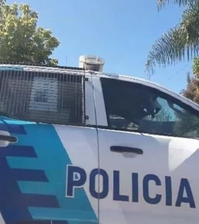 virrey-del-pino--jpg.