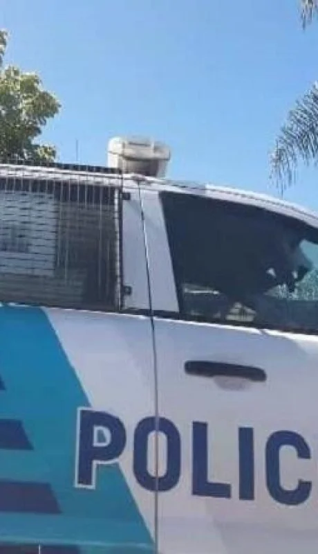 virrey-del-pino--jpg.