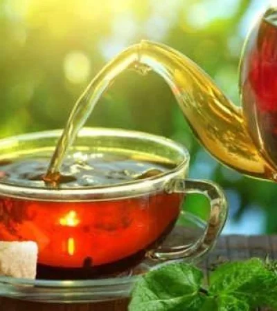 te-de-boldo-para-adelgazar-jpg.