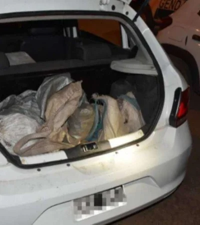 quirquinchos-auto-salta-argentina-animales-caza-ilegal-png.