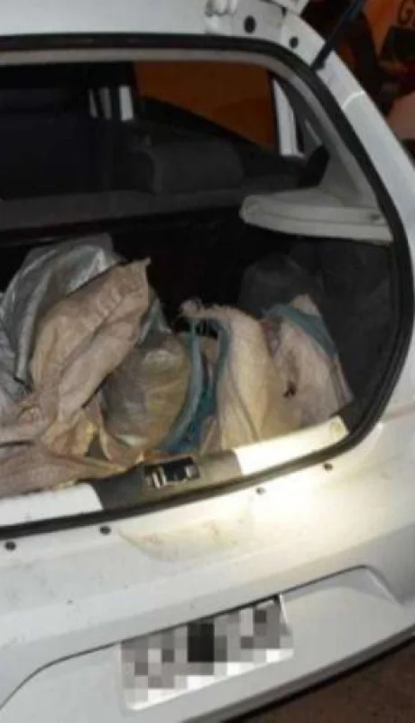 quirquinchos-auto-salta-argentina-animales-caza-ilegal-png.