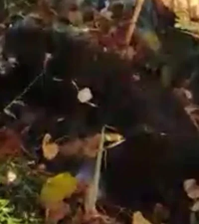 2ddf25e2-79b5-4db7-9db2-539f5b68ce95-jpeg.