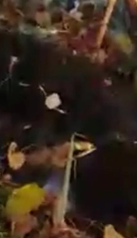 2ddf25e2-79b5-4db7-9db2-539f5b68ce95-jpeg.