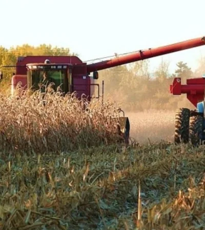 Ricardo Buryaile: "No sabemos cuál es el proyecto del Gobierno para el agro"