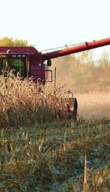 Ricardo Buryaile: "No sabemos cuál es el proyecto del Gobierno para el agro"