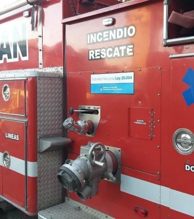 d589565a-844e-4b69-a7ed-1612fd34c77f-jpeg.