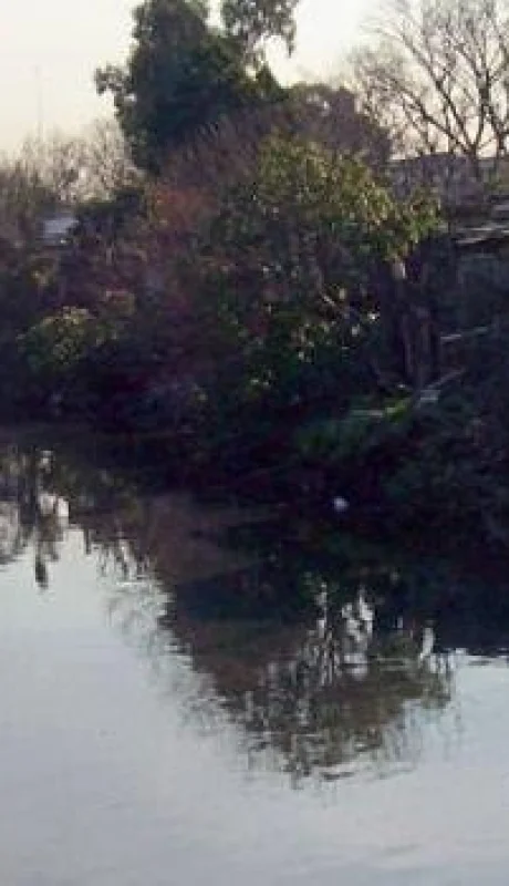 riachuelo-nota-750x350-jpg.