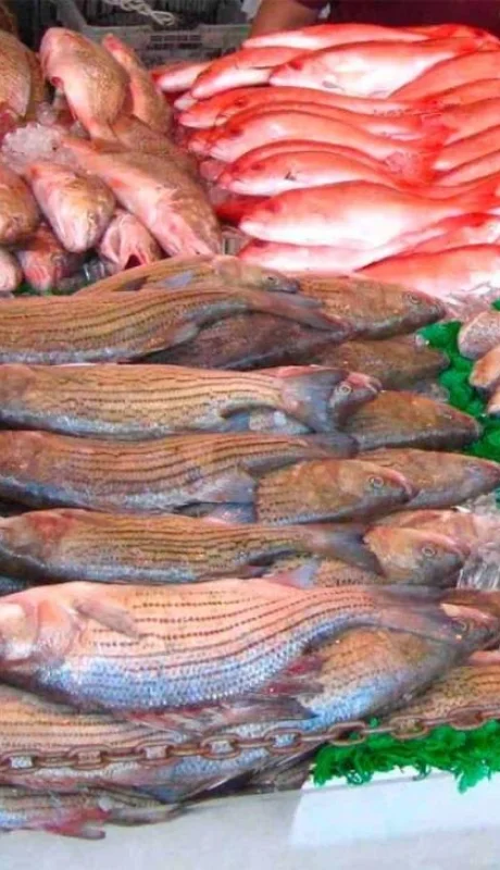 555473_venta_de_pescados_cuaresma