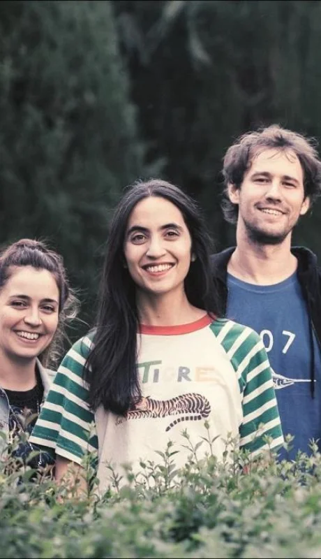 las-ligas-menores-jpg.