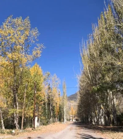 WhatsApp-Image-2021-04-26-at-07.51.44