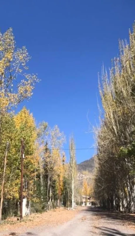 WhatsApp-Image-2021-04-26-at-07.51.44