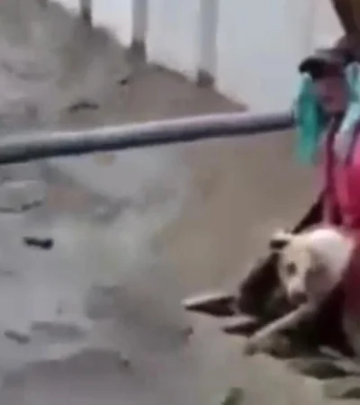 903b40e8-746b-424a-8136-c7e030843658-jpg.