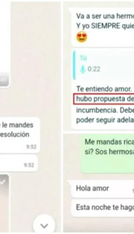 corrupcion-funcionario-ifai-sexo-chats-pruebas-argentina-jpg.