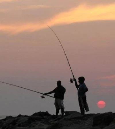 c52d10cb-f658-4da2-8c73-7c947c496806-jpeg.