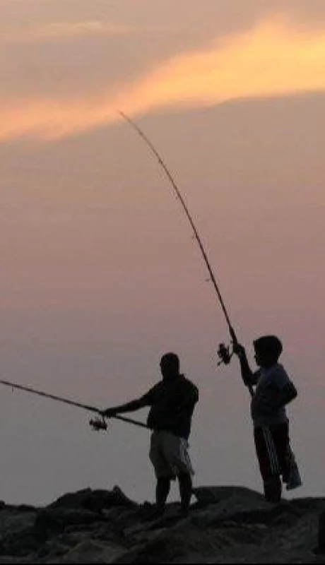 c52d10cb-f658-4da2-8c73-7c947c496806-jpeg.