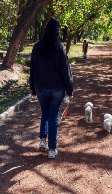 mendoza-el-intendente-de_667828