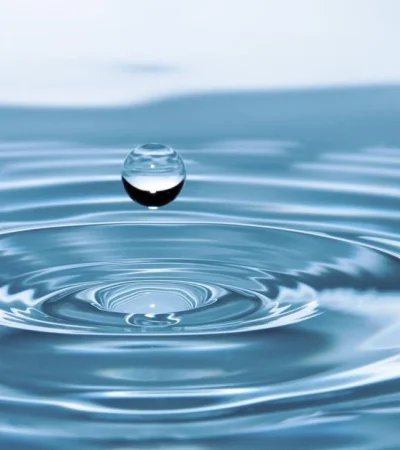 pexels-pixabay-40784-jpg.