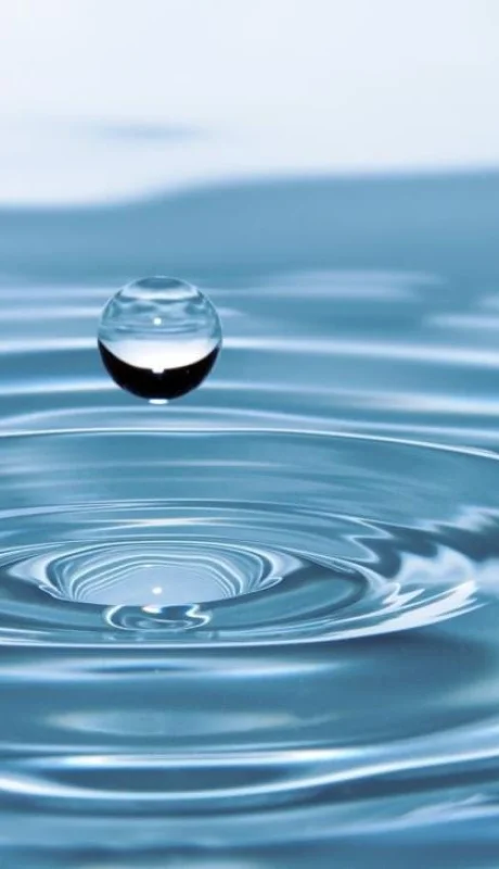 pexels-pixabay-40784-jpg.