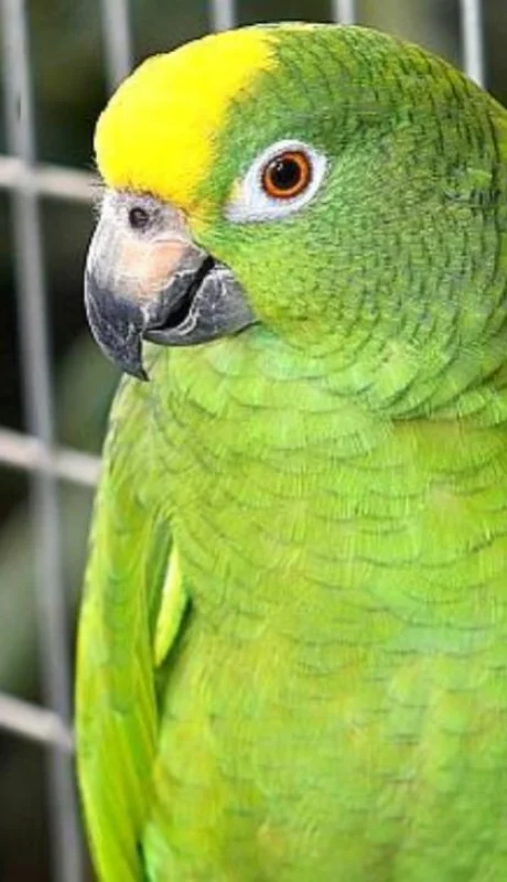 diseno-sin-titulo-27-png.