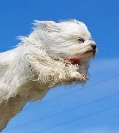 whatsapp-image-2022-05-11-at-2-40-15-pm-jpeg.