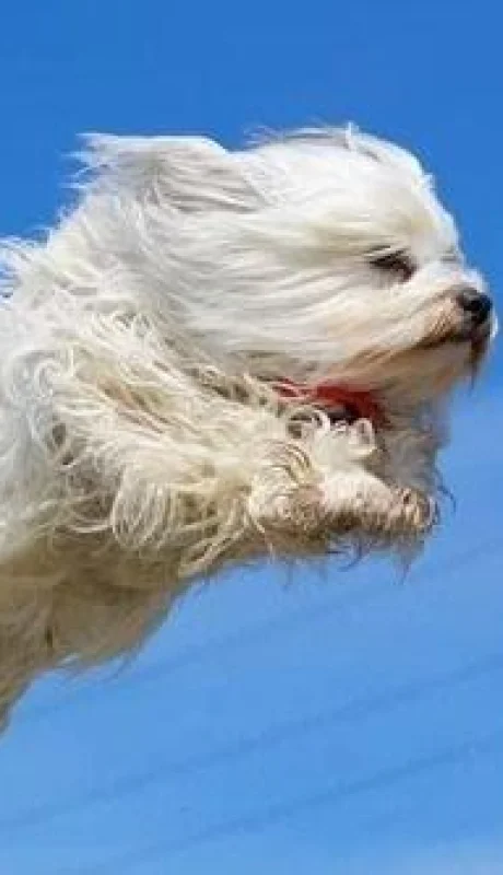 whatsapp-image-2022-05-11-at-2-40-15-pm-jpeg.