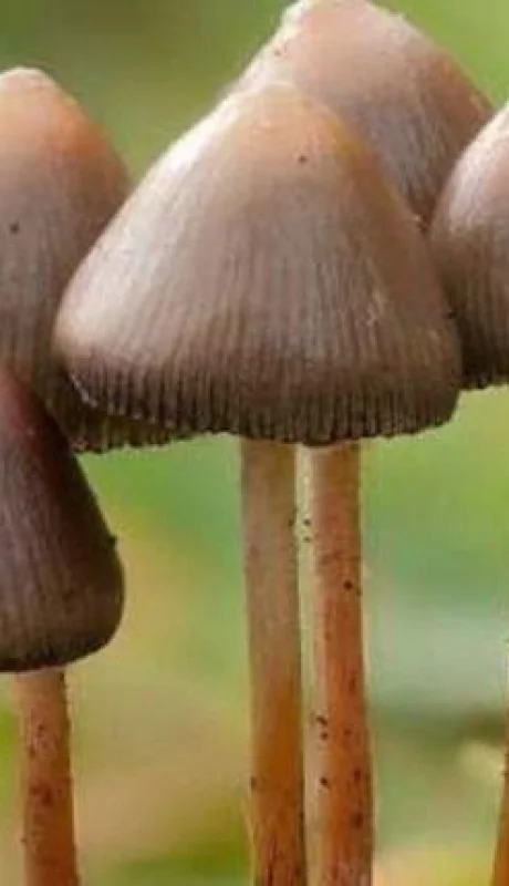 143326120-91757e7d-d771-4c56-92fc-f971d251c98b-jpg.