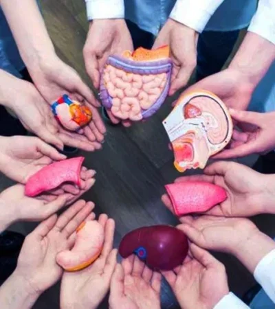 donante-de-organos-tejidos-jpg.