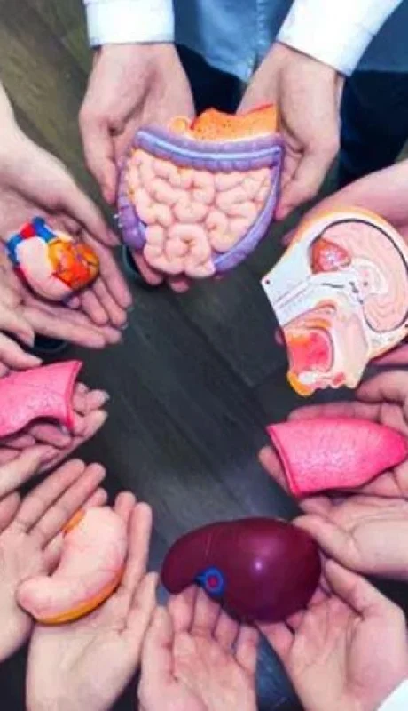 donante-de-organos-tejidos-jpg.