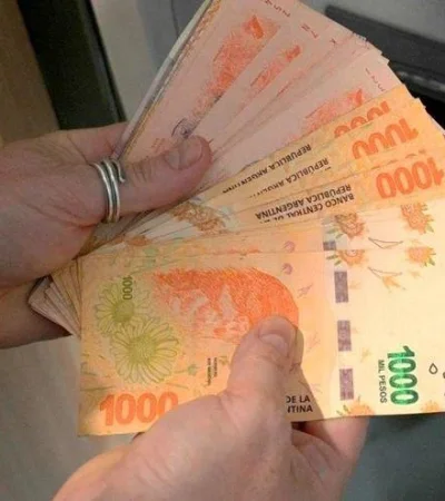 bono-refuerzo-ingresos-anses-jpg.