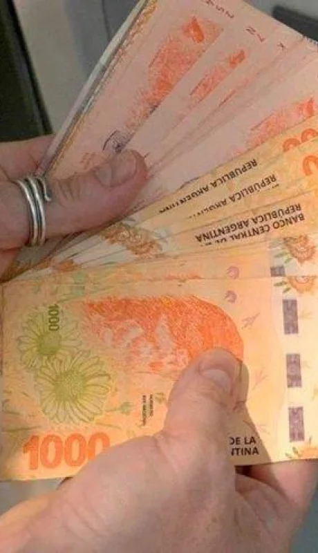 bono-refuerzo-ingresos-anses-jpg.