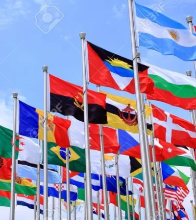 81c50d72-d65f-4939-980e-61635a2cbe8f-jpeg.