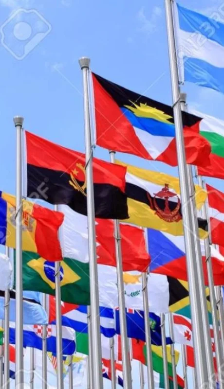 81c50d72-d65f-4939-980e-61635a2cbe8f-jpeg.