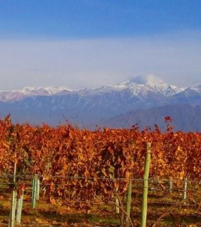 Finalmente el otoño 2025 tendrá la característica de lluvias por encima del promedio anual en Argentina.