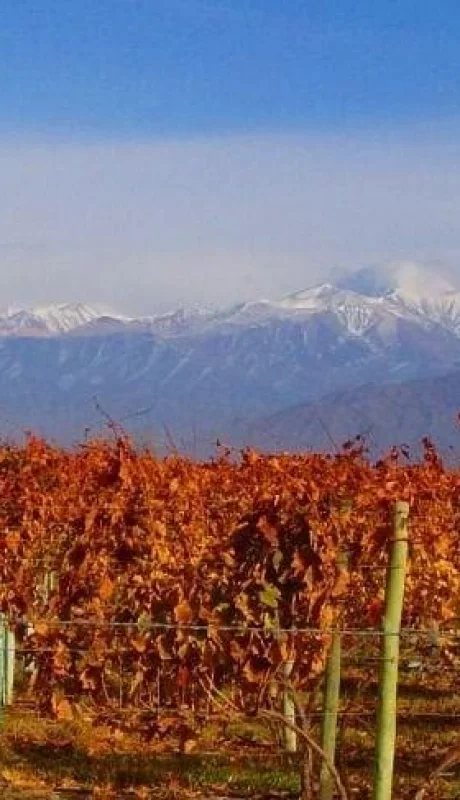 Finalmente el otoño 2025 tendrá la característica de lluvias por encima del promedio anual en Argentina.