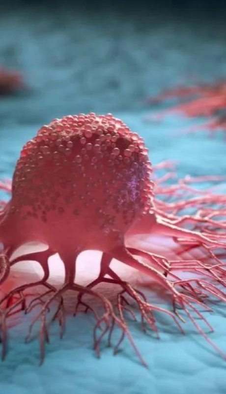 cancer-celulas-enfermedad-estudio-estados-unidos-png.