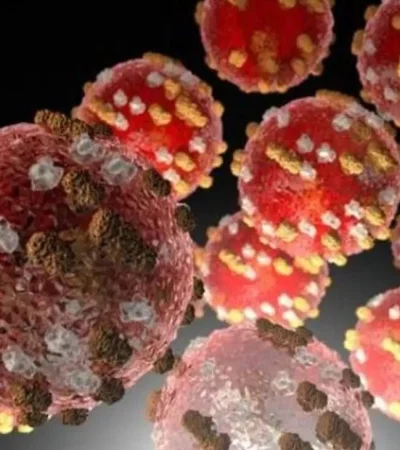 viruela-del-mono-jpg.