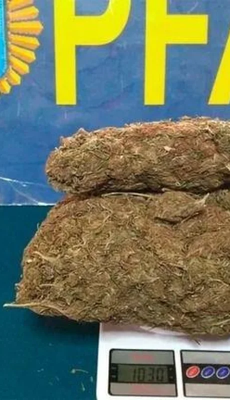 alumnos-marihuana-colegio-jpg.