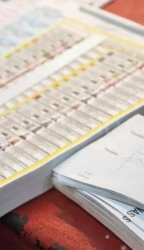 boleta-unica-argentina-jpg.