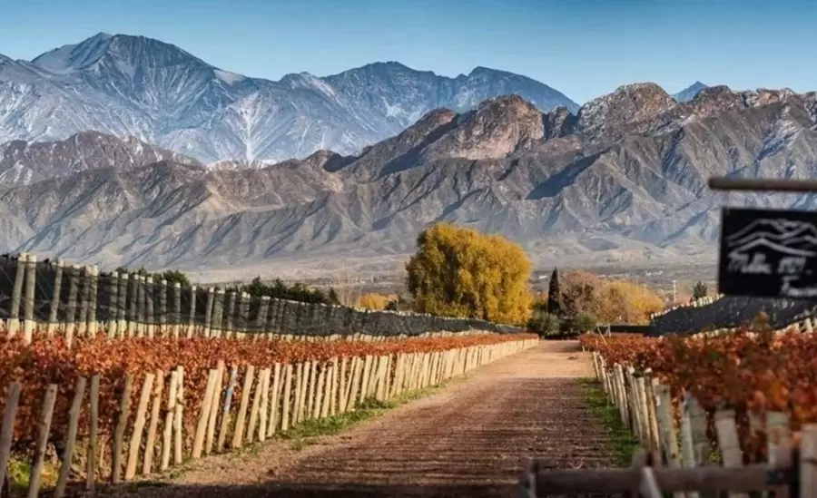 uno-de-los-vinedos-de-a8gq9c-x-jpg.