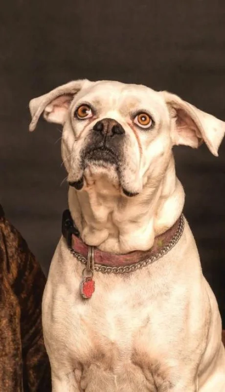 pexels-nancy-guth-850602-jpg.