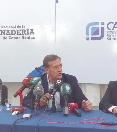 suarez-ganaderia-5-jpeg.